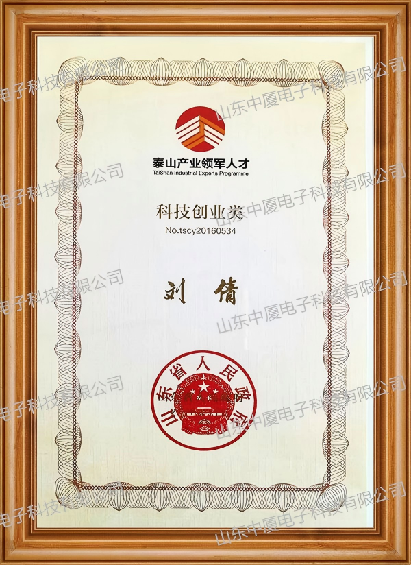 泰山产业领军人才(图1)